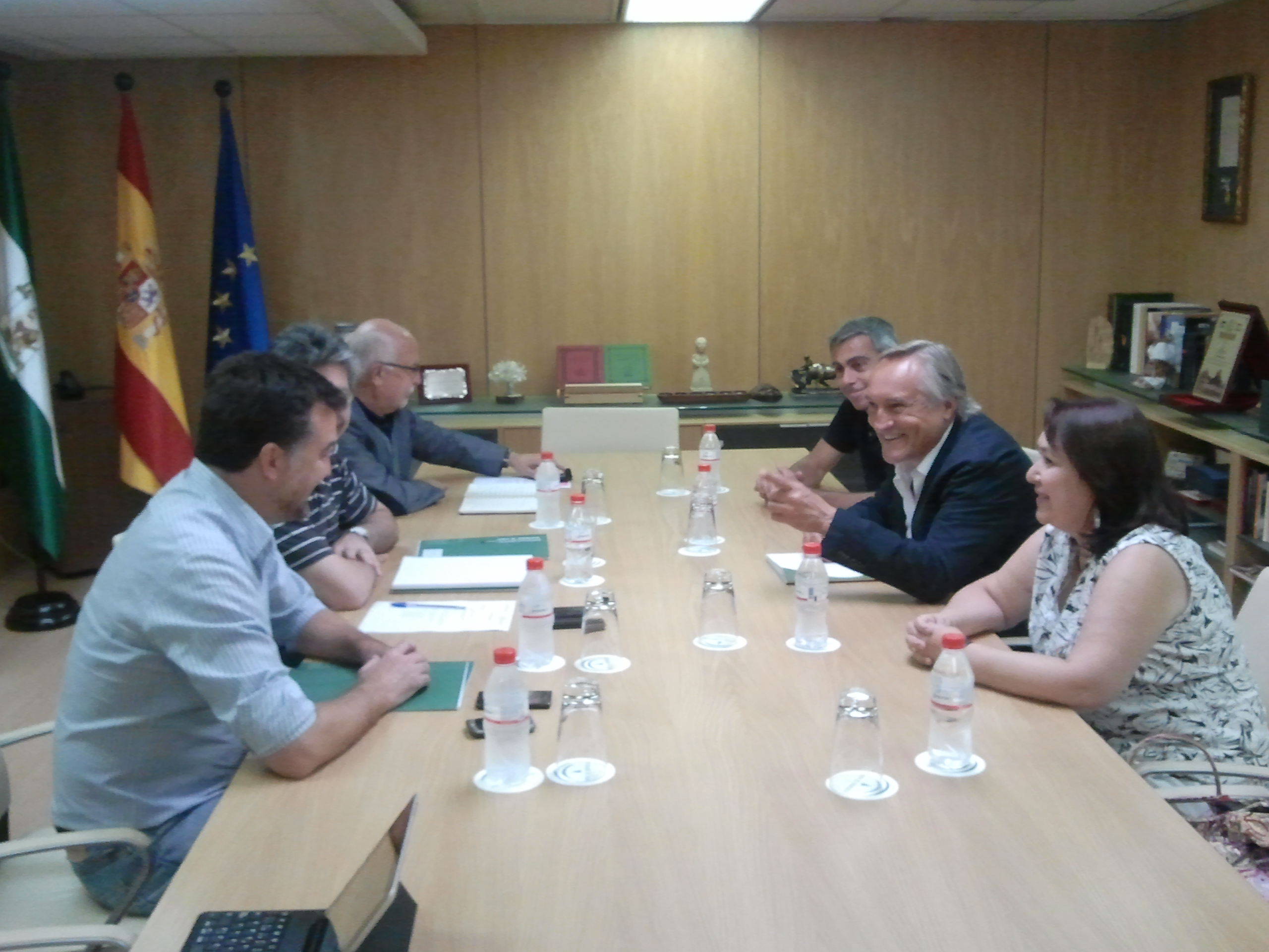 REUNIÓN VICECONSEJERO DE ADMINISTRACIÓN LOCAL Y RELACIONES INSTITUCIONALES